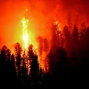 Wild Fire Suppression