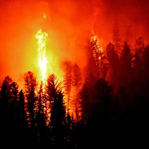 Wild Fire Suppression